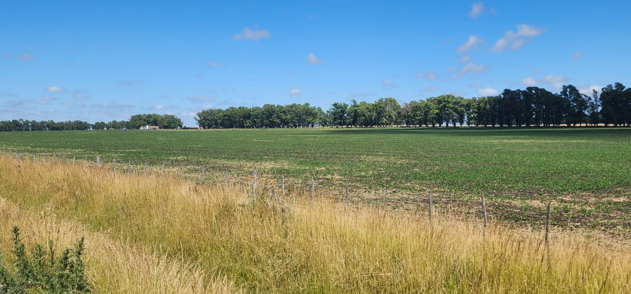 VENTA CAMPO MIXTO PARTIDO DE JUAREZ