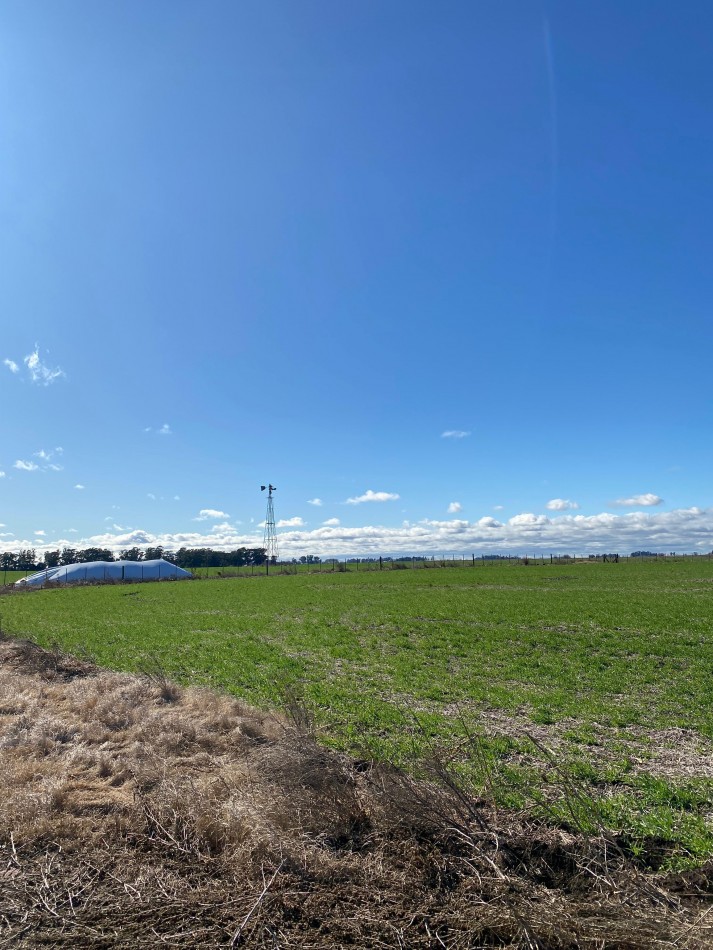 VENTA CAMPO AGRICOLA 431 HAS PARDIDO DE TANDIL