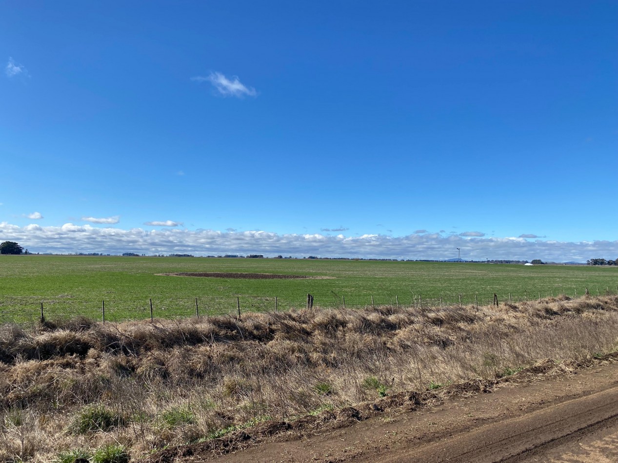 VENTA CAMPO AGRICOLA 431 HAS PARDIDO DE TANDIL