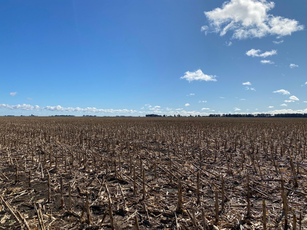 VENTA CAMPO AGRICOLA 431 HAS PARDIDO DE TANDIL
