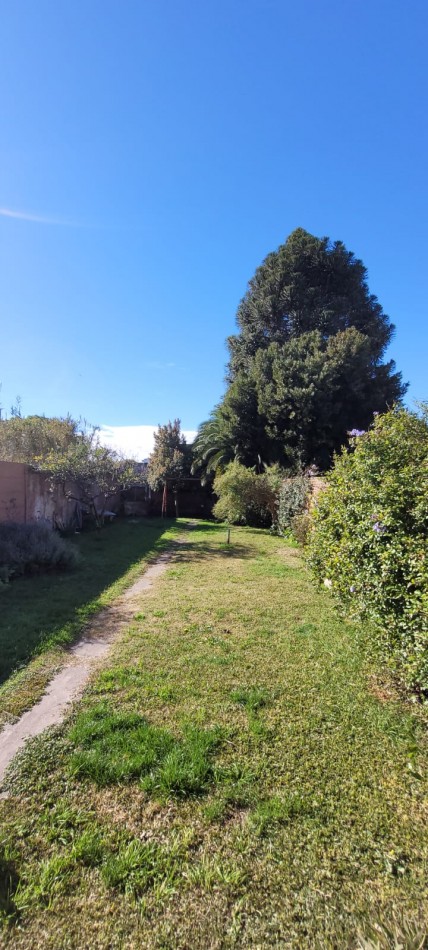VENTA CASA 3 DORMITORIOS SOBRE LOTE DE 487 MTS