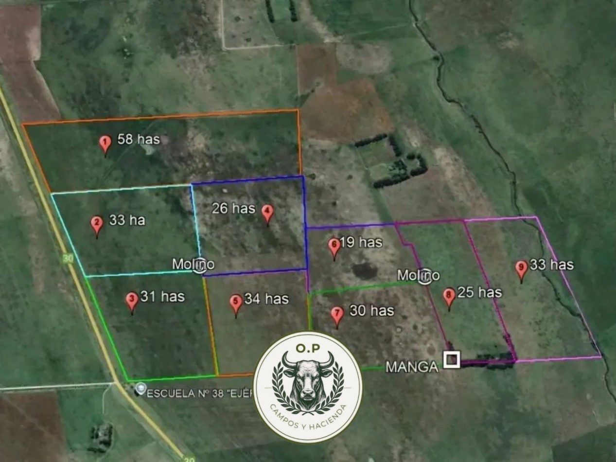 VENTA CAMPO GANADERO 290 HAS SOBRE RUTA 30