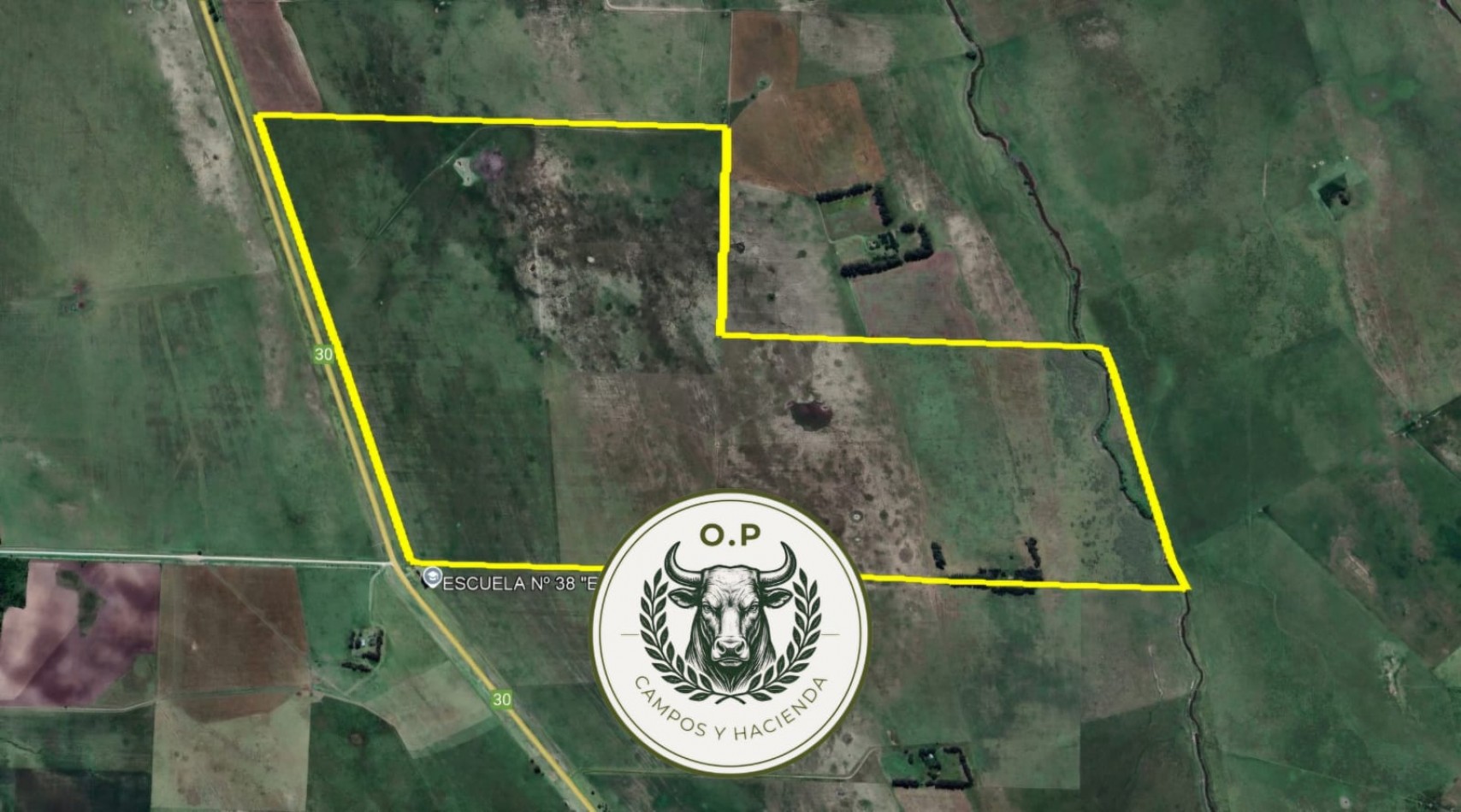 VENTA CAMPO GANADERO 290 HAS SOBRE RUTA 30