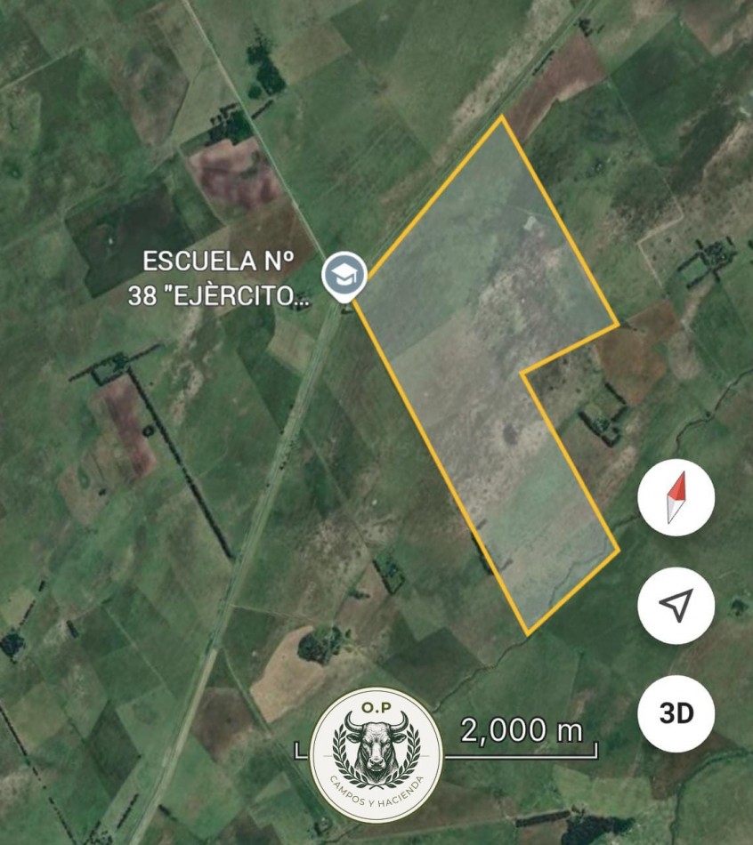 VENTA CAMPO GANADERO 290 HAS SOBRE RUTA 30