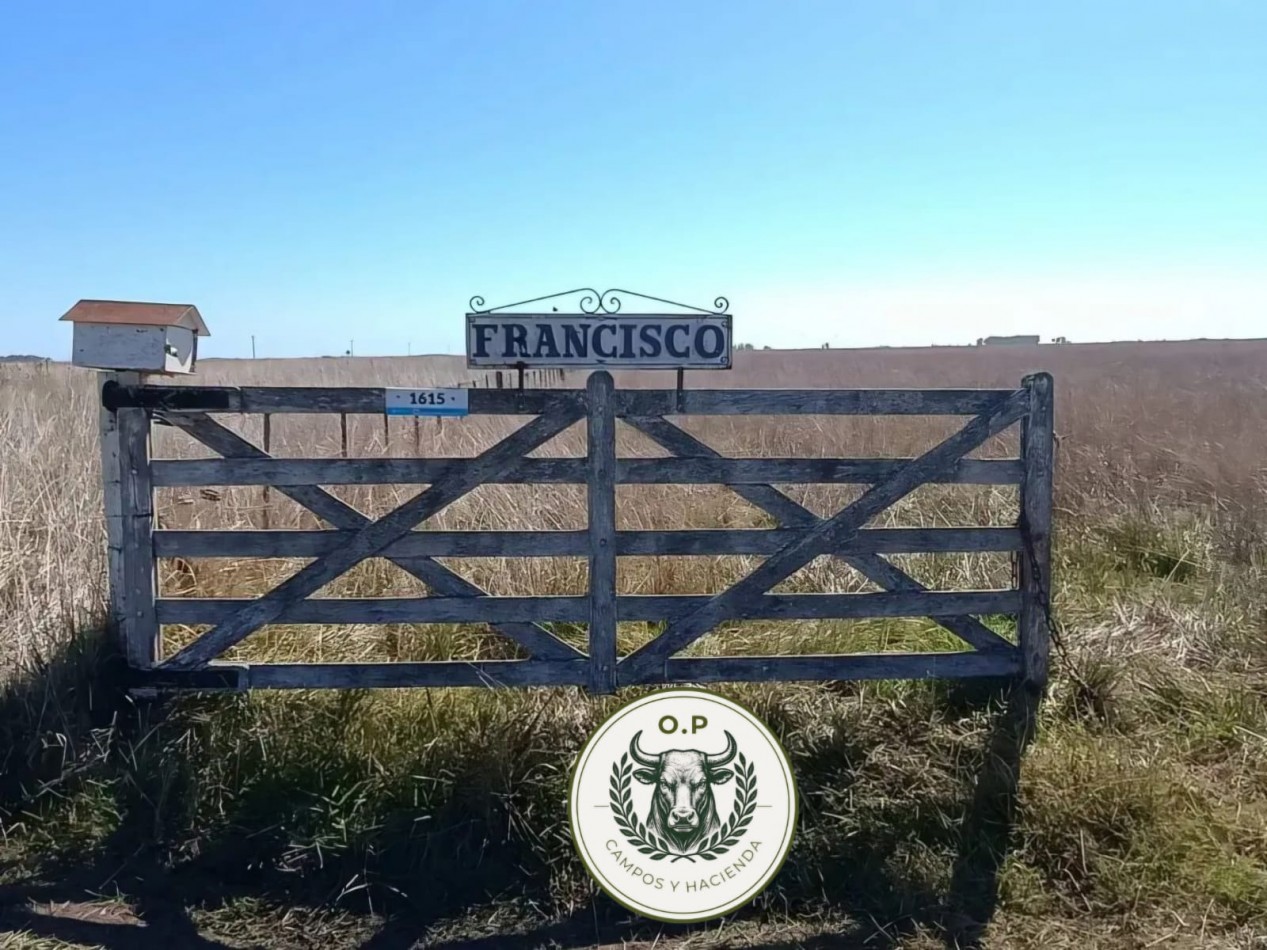 VENTA CAMPO GANADERO 290 HAS SOBRE RUTA 30