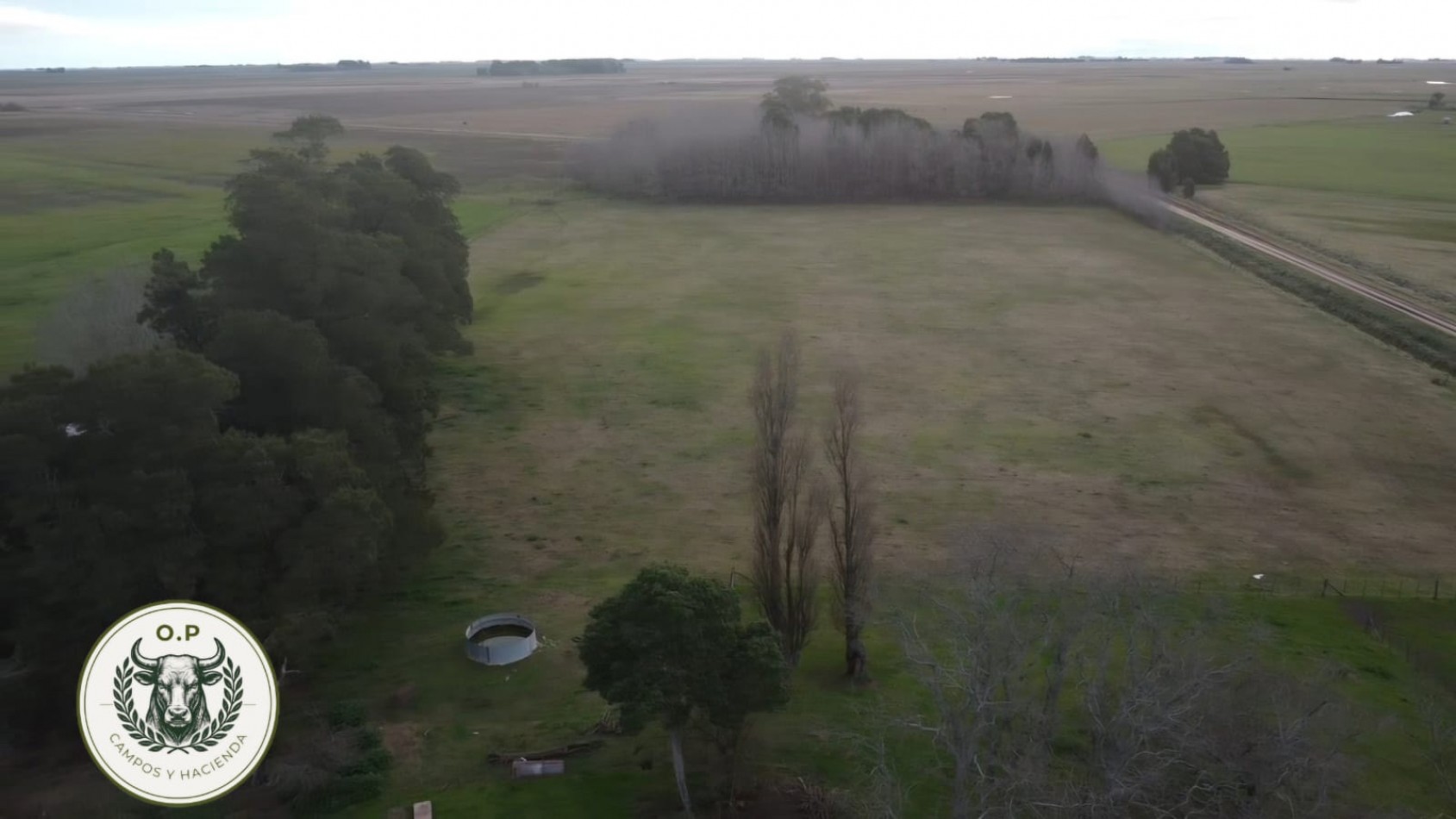 VENTA CAMPO GANADERO 297 HAS ZONA UDAQUIOLA C\ CASA Y GALPONES