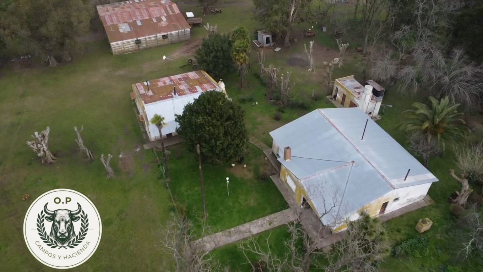 VENTA CAMPO GANADERO 297 HAS ZONA UDAQUIOLA C\ CASA Y GALPONES