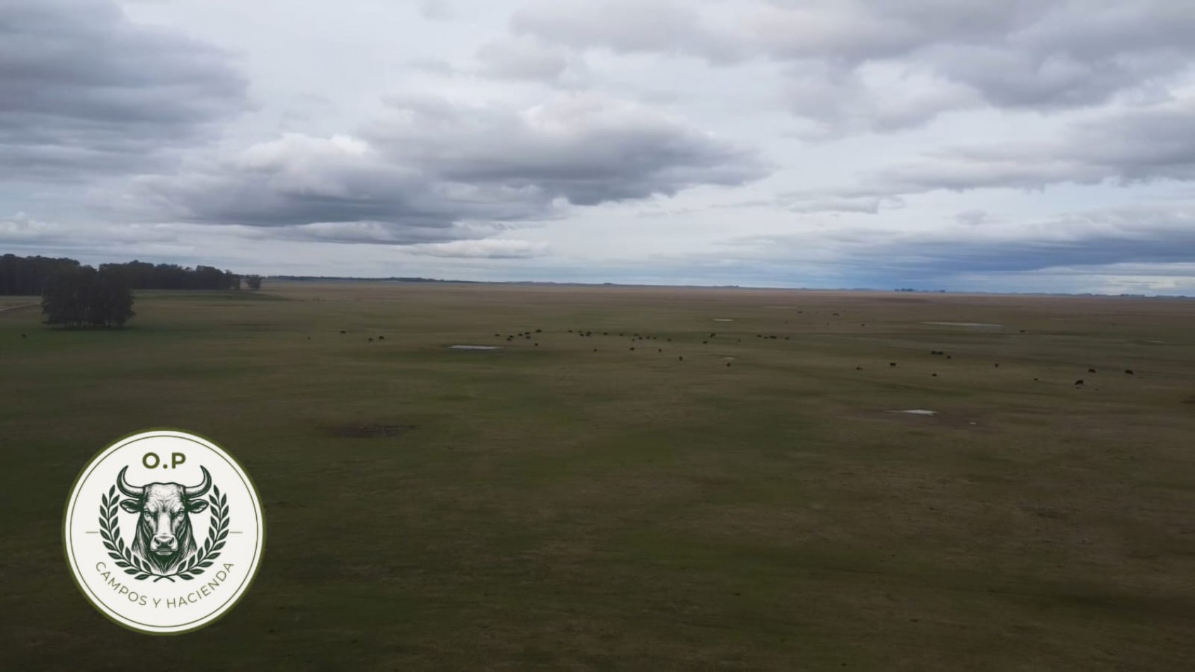 VENTA CAMPO GANADERO 297 HAS ZONA UDAQUIOLA C\ CASA Y GALPONES