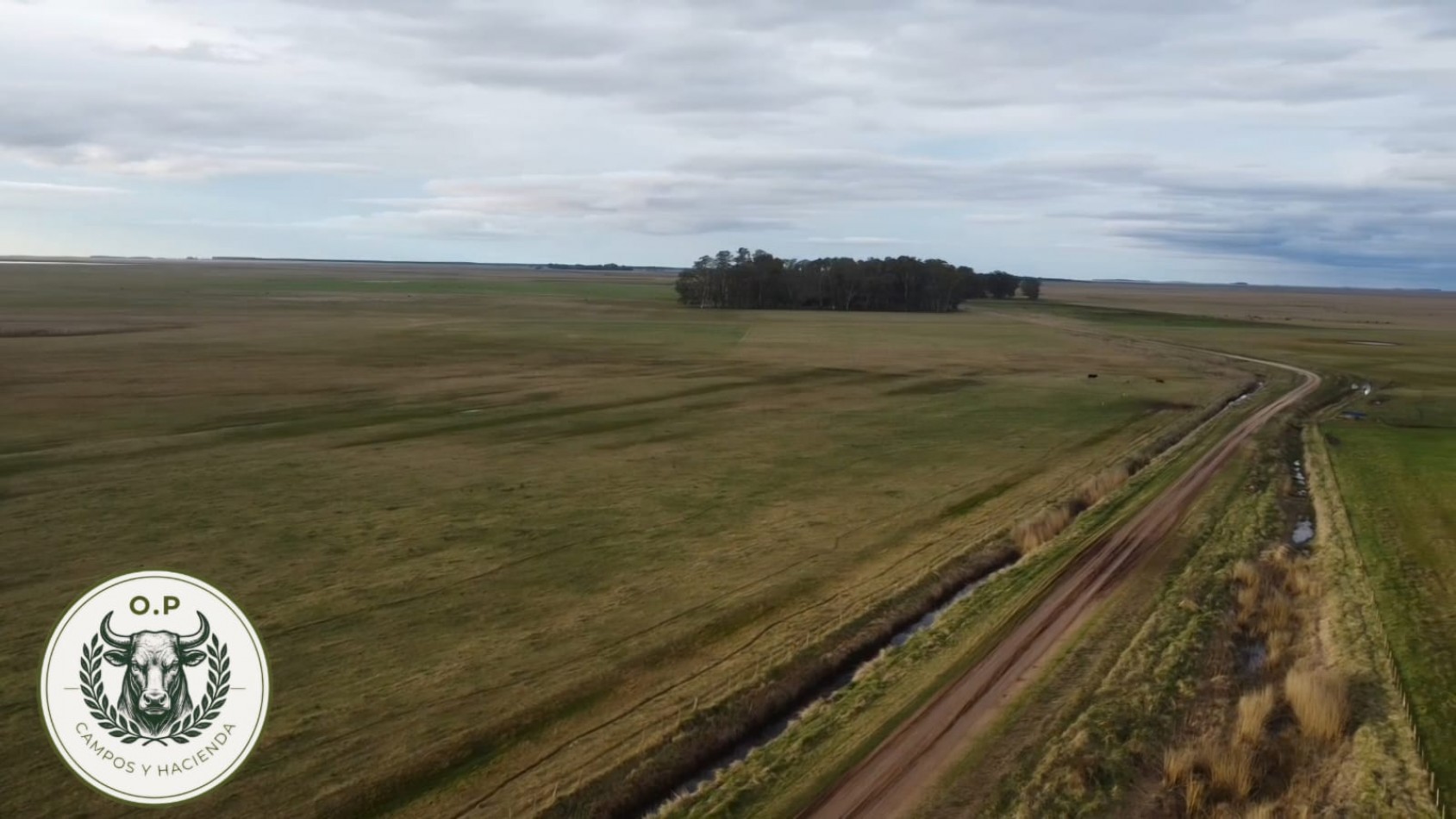 VENTA CAMPO GANADERO 297 HAS ZONA UDAQUIOLA C\ CASA Y GALPONES