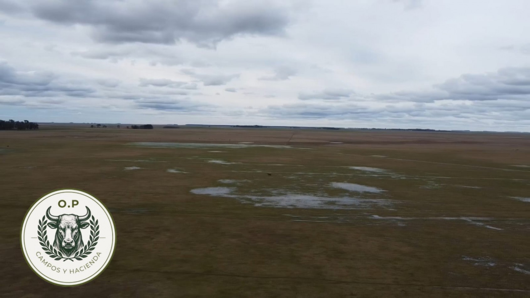 VENTA CAMPO GANADERO 297 HAS ZONA UDAQUIOLA C\ CASA Y GALPONES