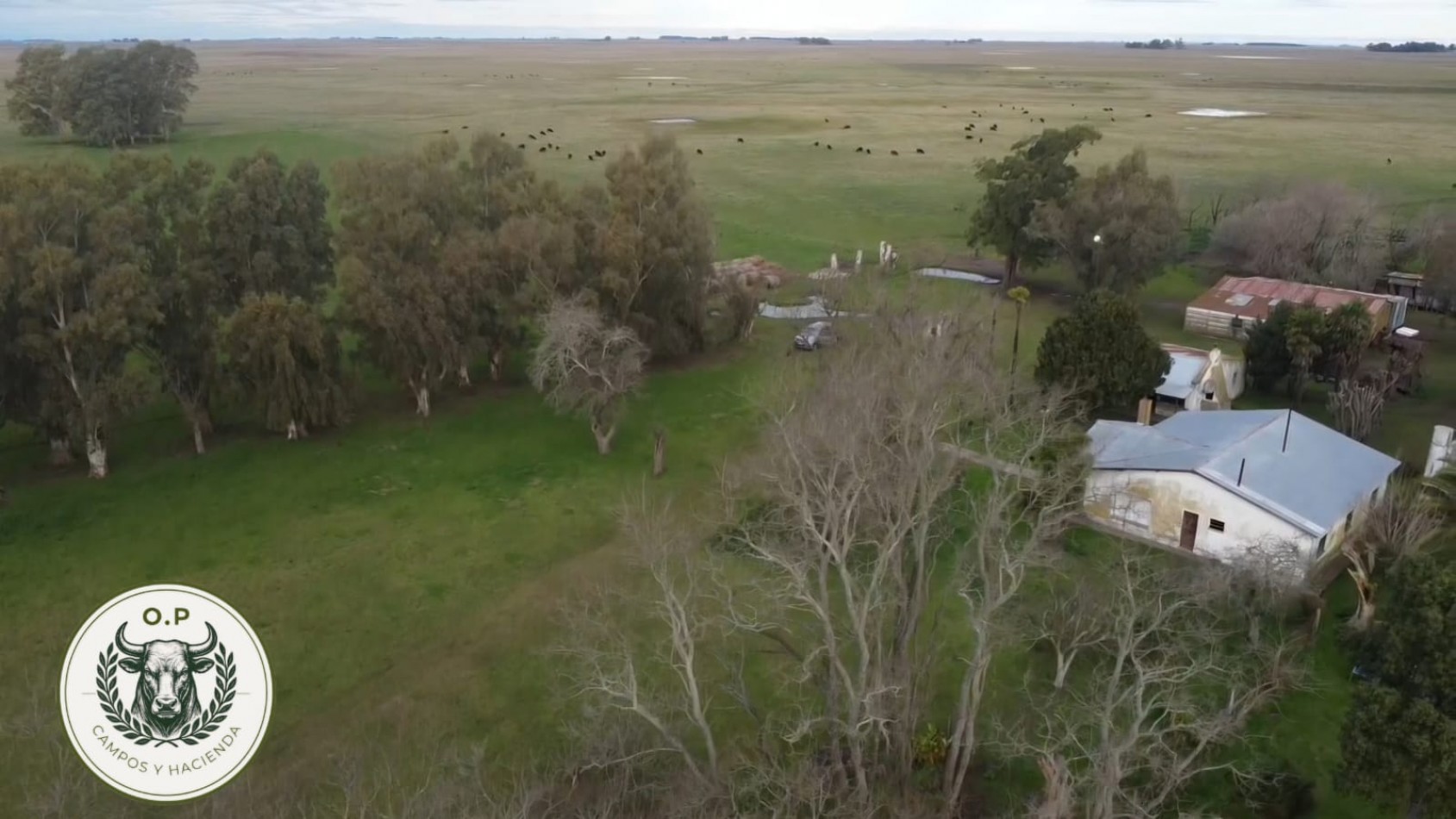 VENTA CAMPO GANADERO 297 HAS ZONA UDAQUIOLA C\ CASA Y GALPONES