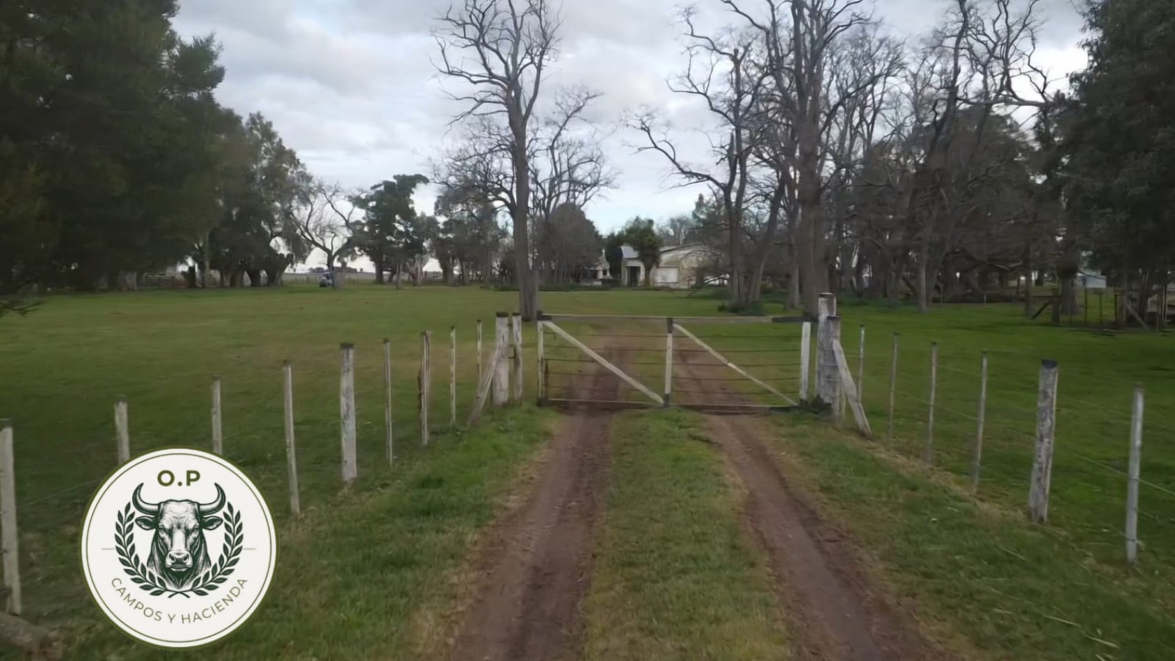 VENTA CAMPO GANADERO 297 HAS ZONA UDAQUIOLA C\ CASA Y GALPONES