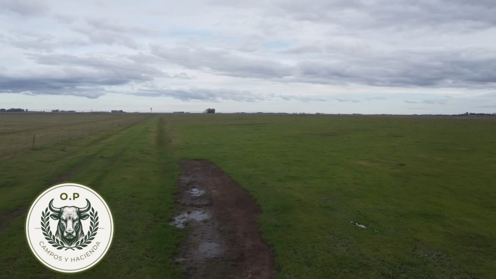 VENTA CAMPO GANADERO 297 HAS ZONA UDAQUIOLA C\ CASA Y GALPONES