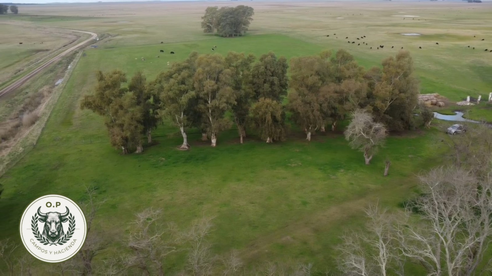 VENTA CAMPO GANADERO 297 HAS ZONA UDAQUIOLA C\ CASA Y GALPONES