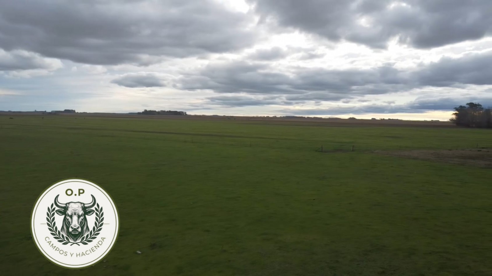 VENTA CAMPO GANADERO 297 HAS ZONA UDAQUIOLA C\ CASA Y GALPONES