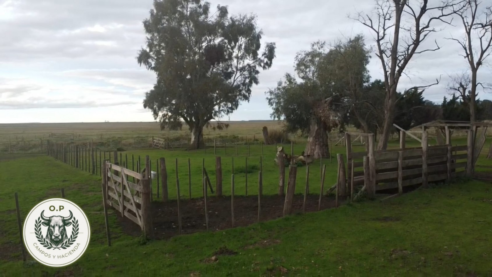 VENTA CAMPO GANADERO 297 HAS ZONA UDAQUIOLA C\ CASA Y GALPONES