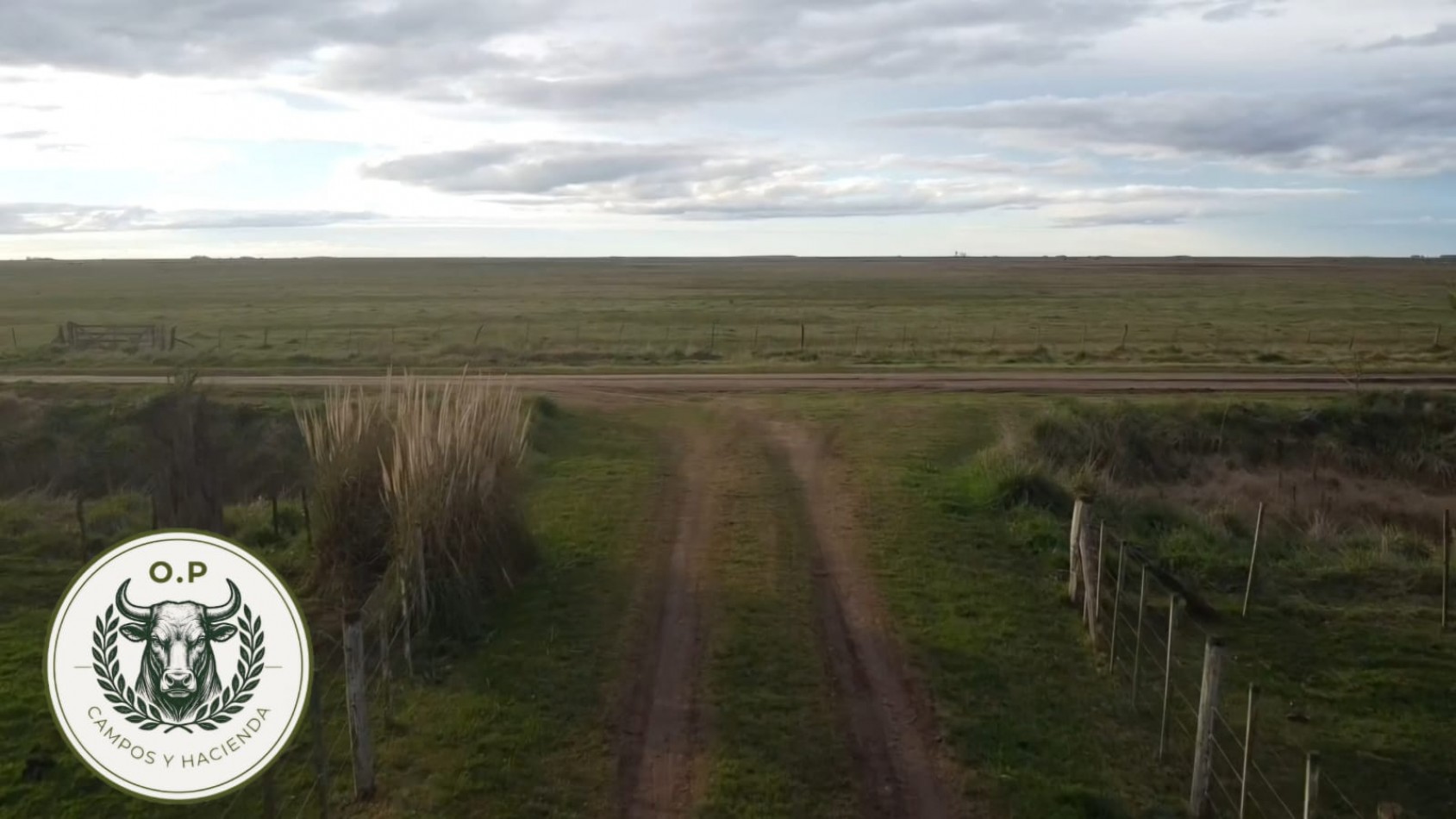 VENTA CAMPO GANADERO 297 HAS ZONA UDAQUIOLA C\ CASA Y GALPONES