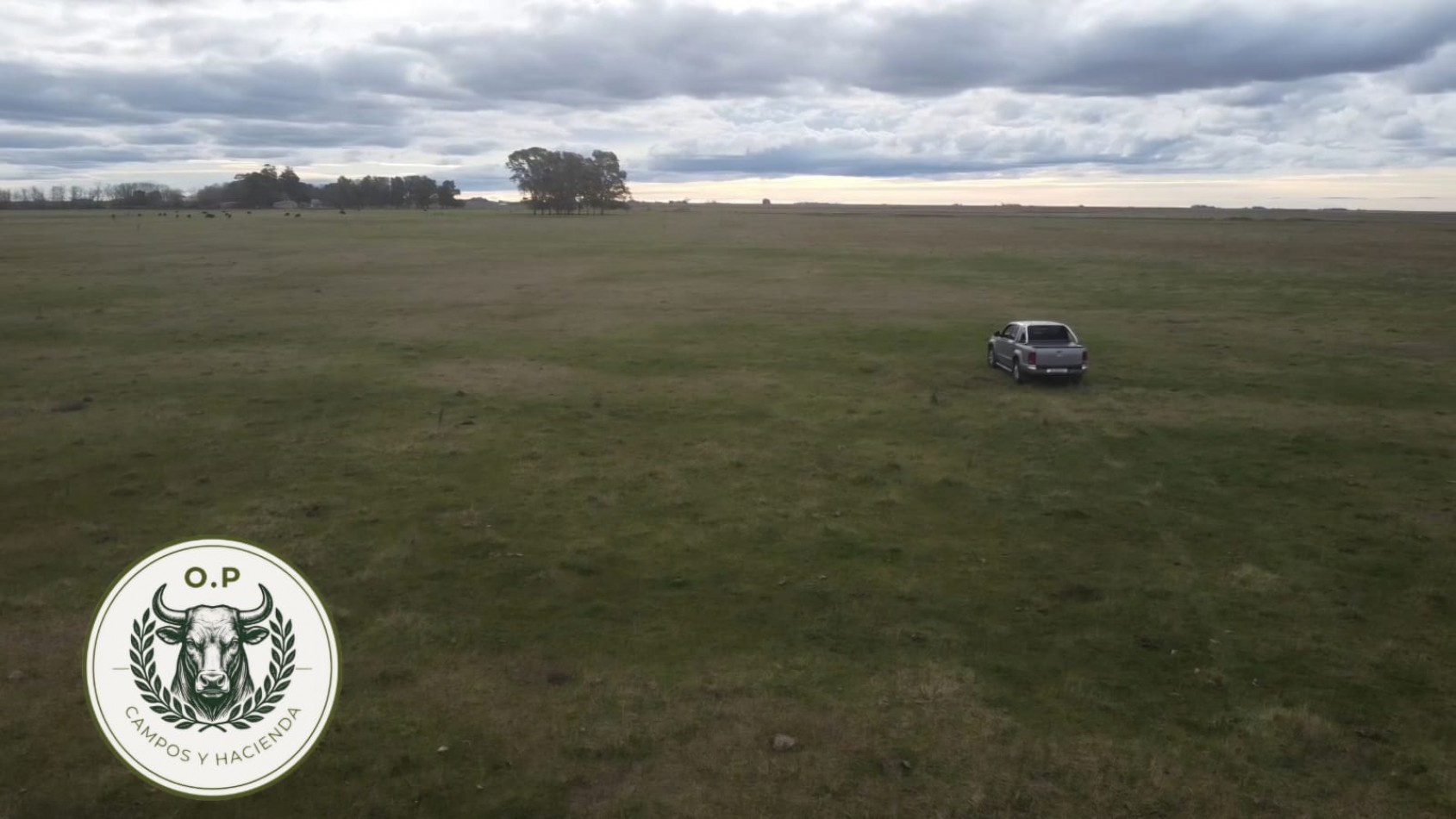 VENTA CAMPO GANADERO 297 HAS ZONA UDAQUIOLA C\ CASA Y GALPONES