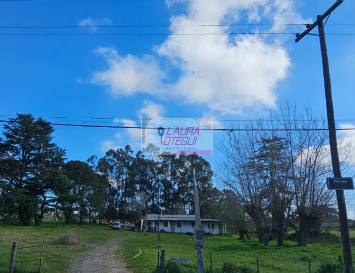 VENTA CASA QUINTA ZONA LA ELENA 