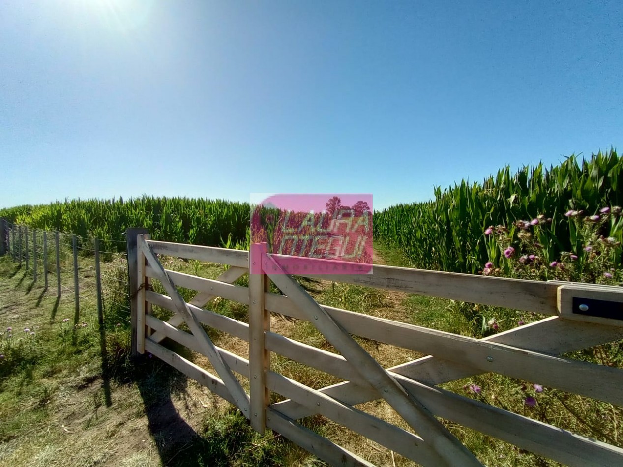 VENTA CAMPO 19 HAS AGRICOLAS A 35 KILOMETROS DE TANDIL