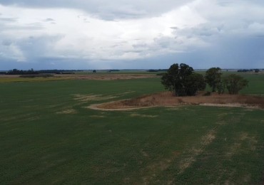 VENTA 3 HECTAREAS EN TANDIL