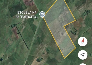 VENTA CAMPO GANADERO 290 HAS SOBRE RUTA 30