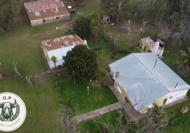 VENTA CAMPO GANADERO 297 HAS ZONA UDAQUIOLA C\ CASA Y GALPONES