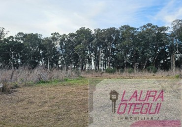 VENTA LOTE ZONA EN CRECIMIENTO 