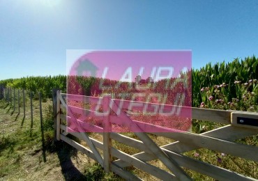 VENTA CAMPO 19 HAS AGRICOLAS A 35 KILOMETROS DE TANDIL